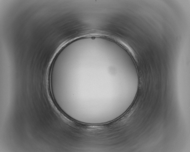 X0000112941483200908240957