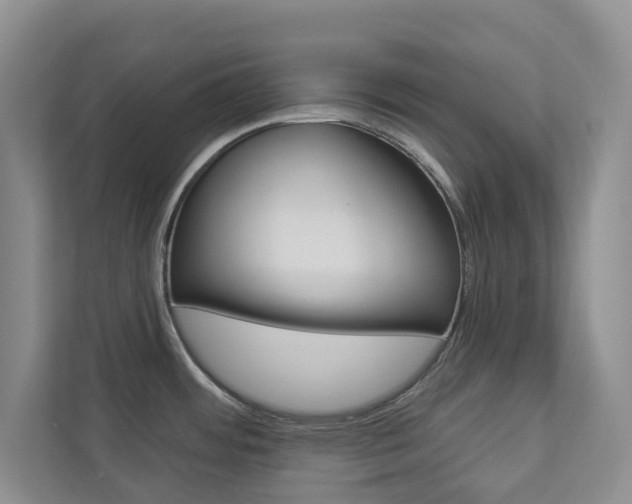 X0000112941484200908240957