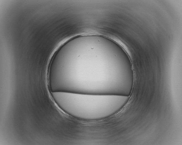 X0000112941485200908240957
