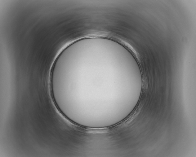X0000112941487200908240957