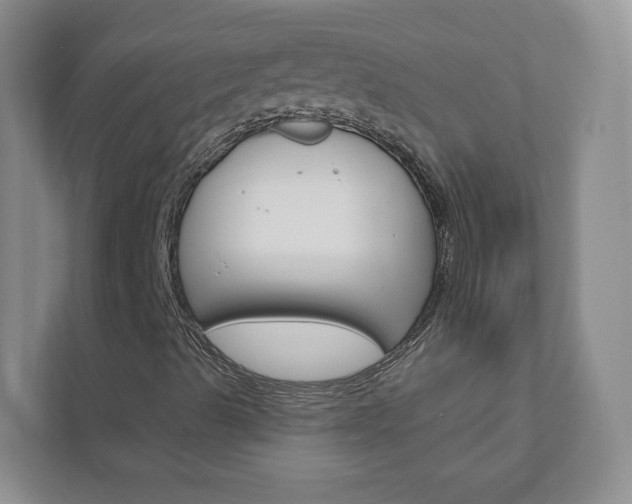 X0000112941489200908240956