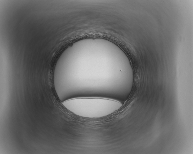 X0000112941490200908240956