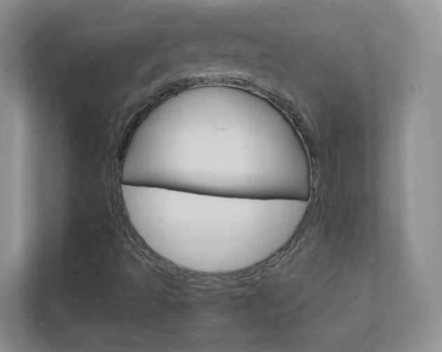 X0000112941493200908240956