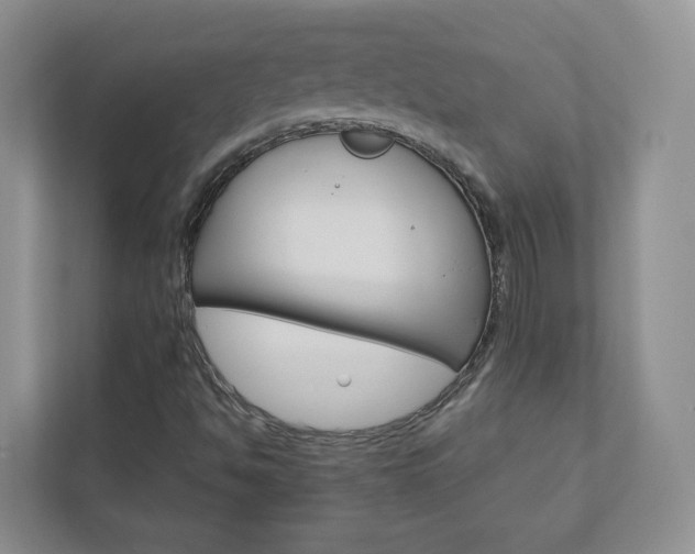 X0000112941494200908240956