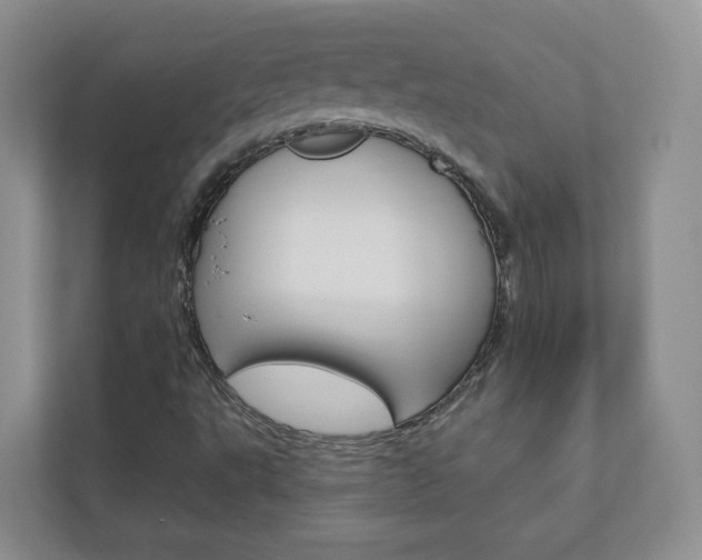 X0000112941495200908240956