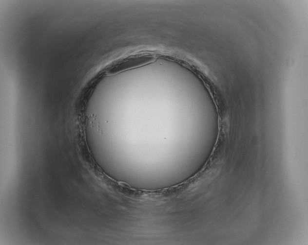 X0000112941496200908240956