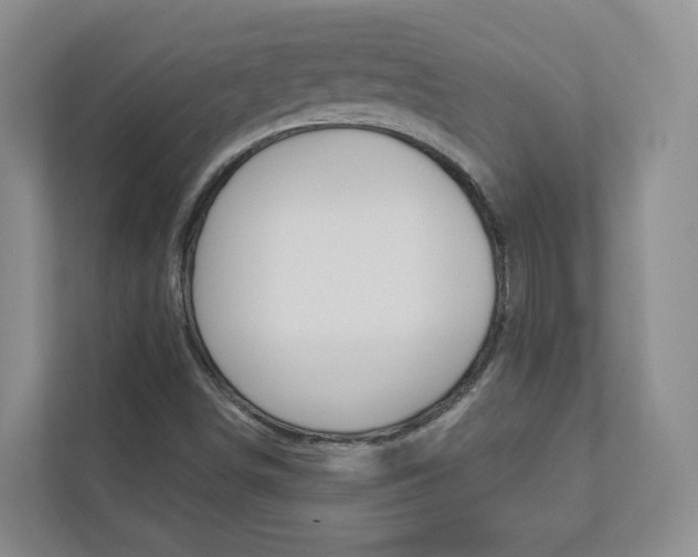 X0000112941498200908240956