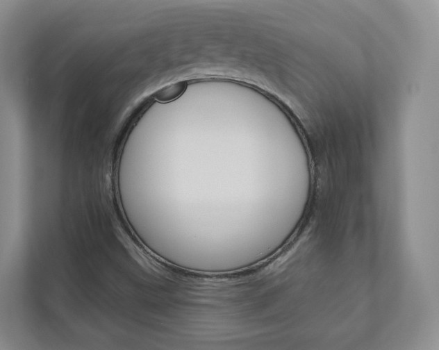 X0000112941499200908240956