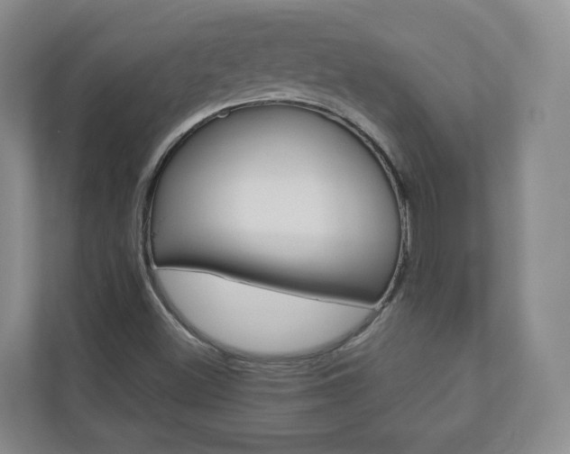 X0000112941500200908240956