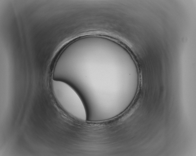 X0000112941501200908240956