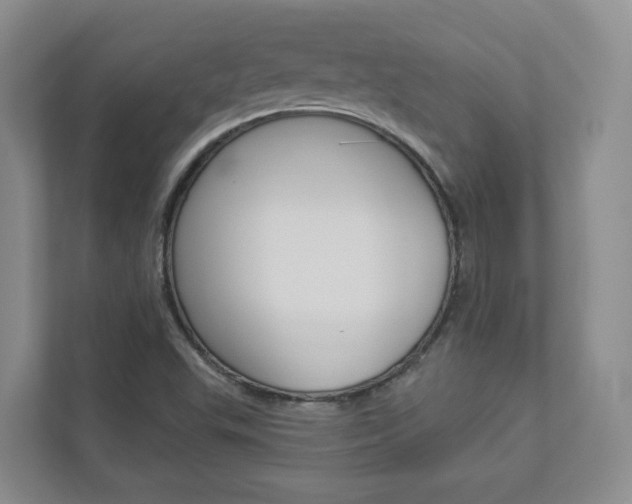 X0000112941503200908240956