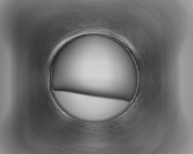 X0000112941504200908240956