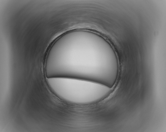 X0000112941505200908240956