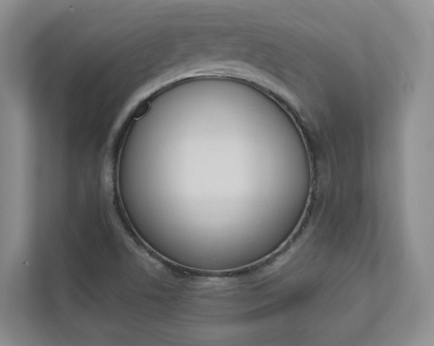 X0000112941506200908240956