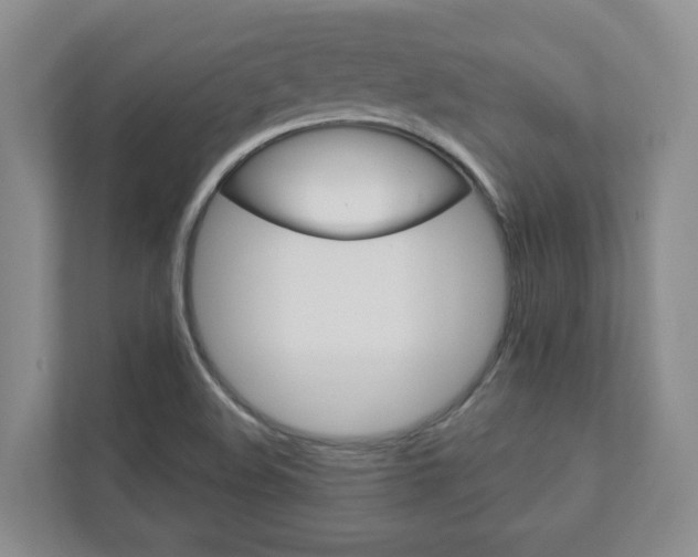 X0000112941508200908240956