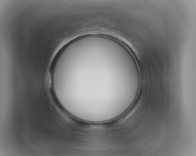 X0000112941509200908240956