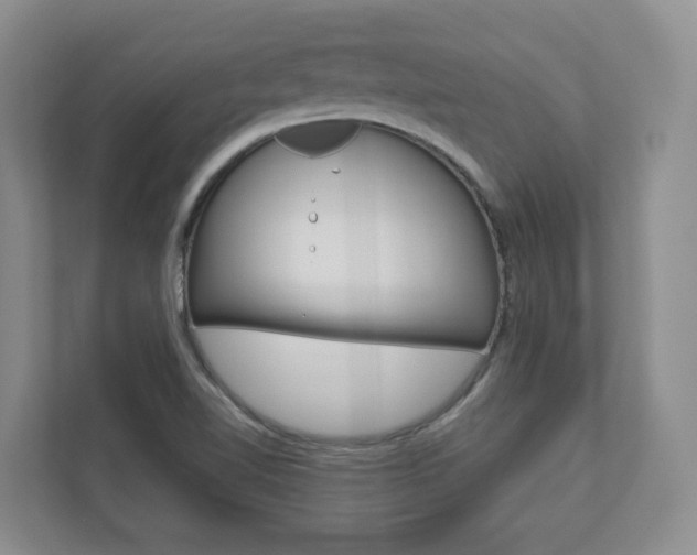 X0000112941510200908240956