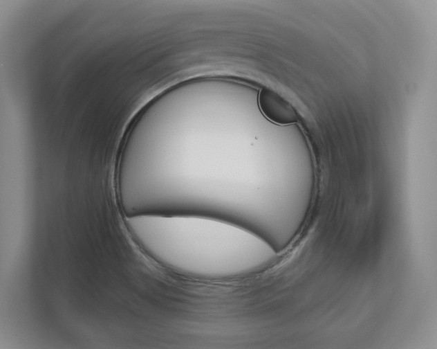 X0000112941513200908240956