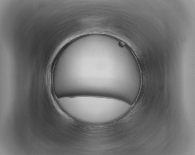 X0000112941515200908240956