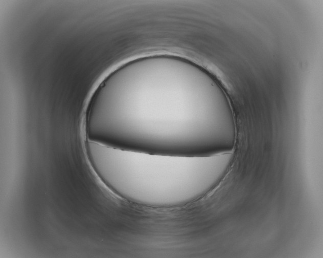 X0000112941516200908240956