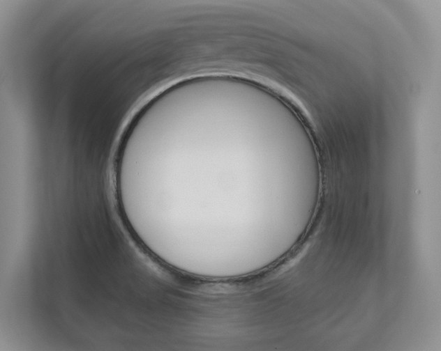 X0000112941517200908240956
