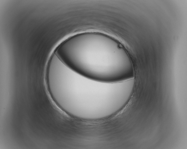 X0000112941518200908240956