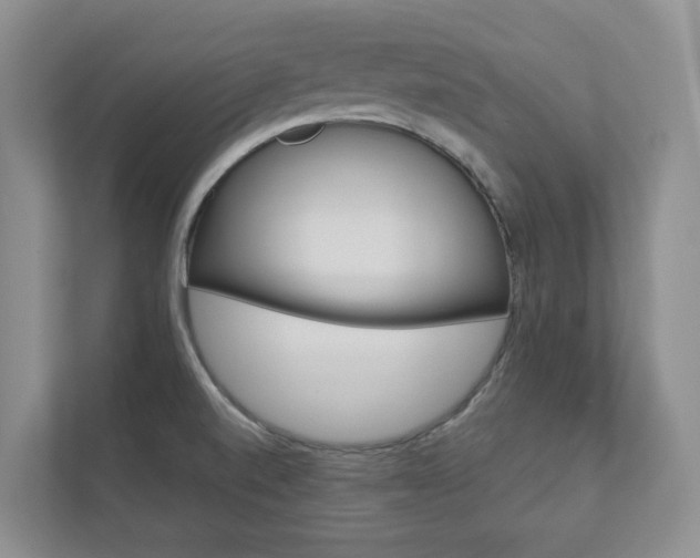 X0000112941520200908240956