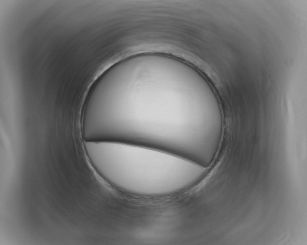 X0000112941521200908240956