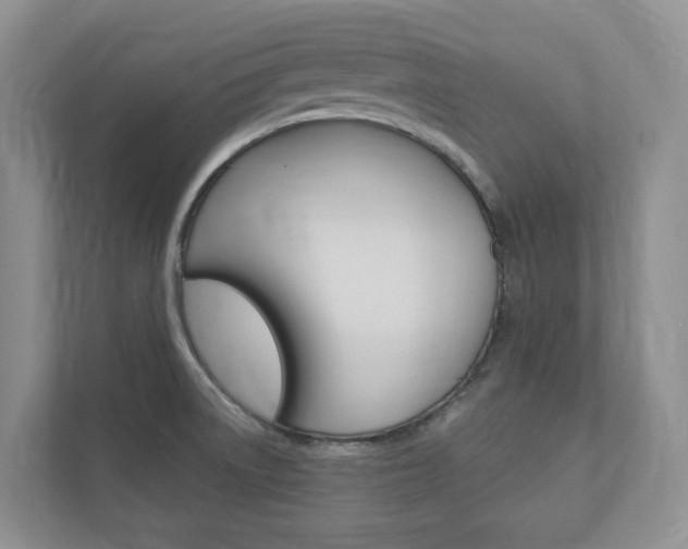 X0000112941522200908240956