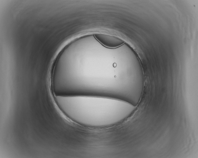 X0000112941523200908240956