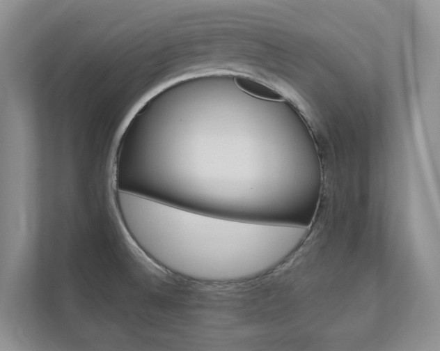 X0000112941524200908240956