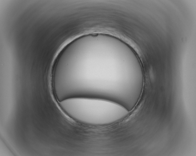 X0000112941525200908240956