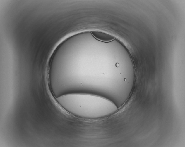 X0000112941526200908240956