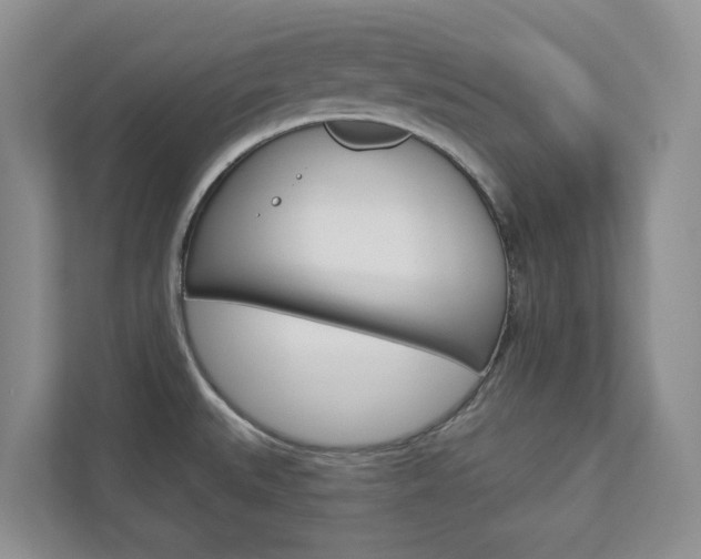 X0000112941527200908240956