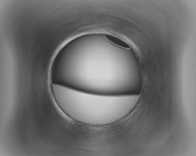 X0000112941528200908240956