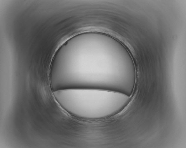X0000112941529200908240957