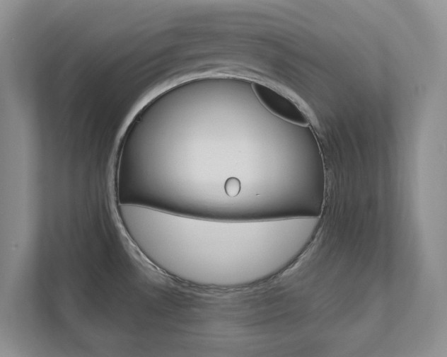 X0000112941530200908240957