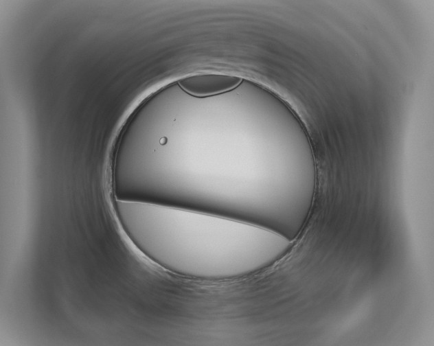 X0000112941531200908240957