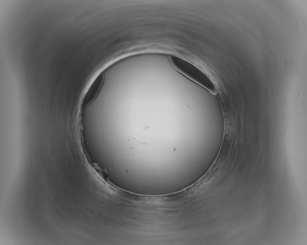X0000112941532200908240957
