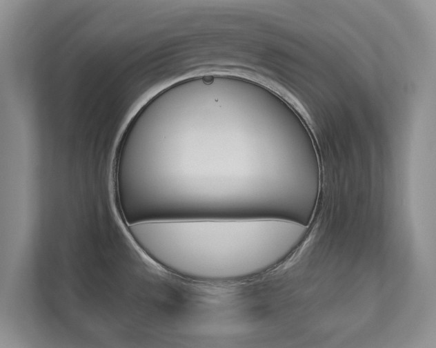 X0000112941533200908240957