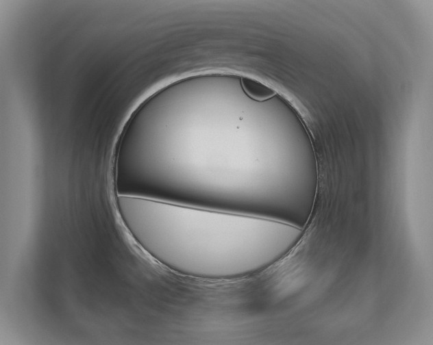 X0000112941534200908240957