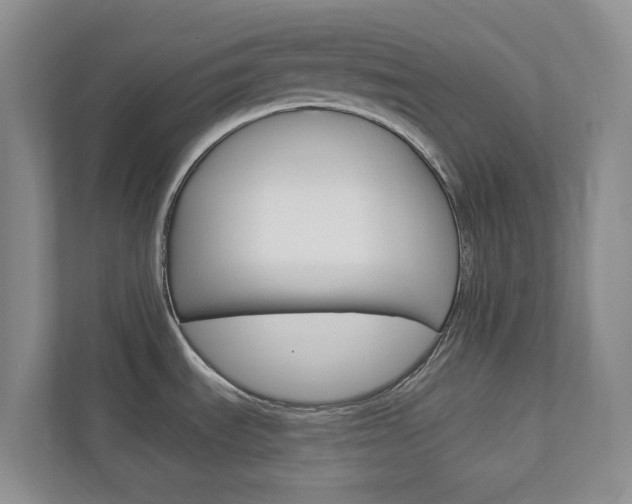 X0000112941535200908240957