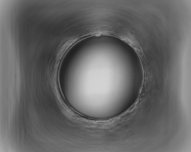 X0000112940001200908241330