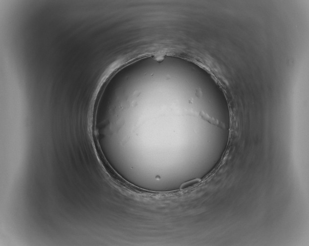 X0000112940003200908241330