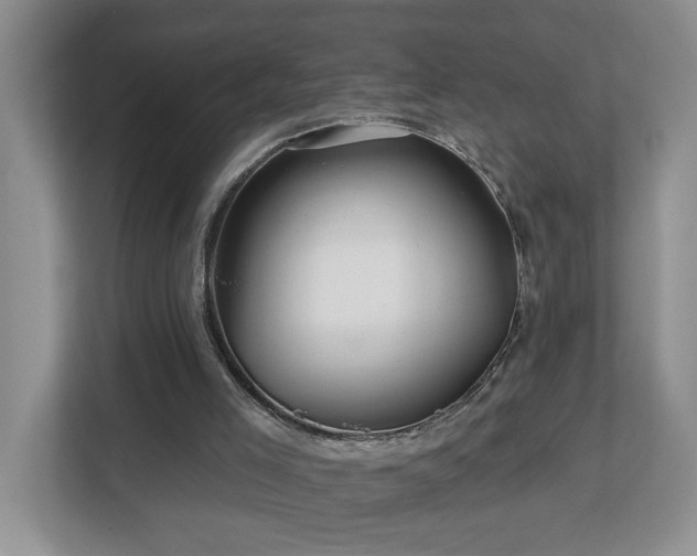 X0000112940005200908241330