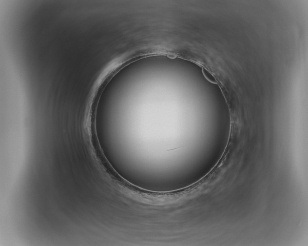 X0000112940006200908241329