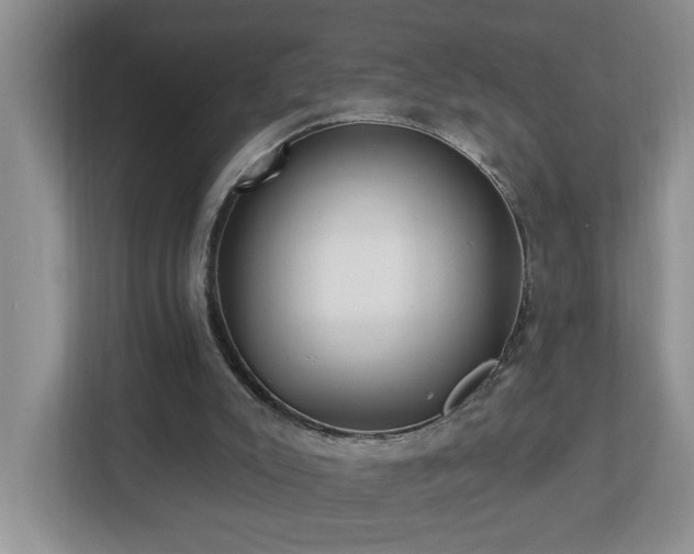 X0000112940007200908241329