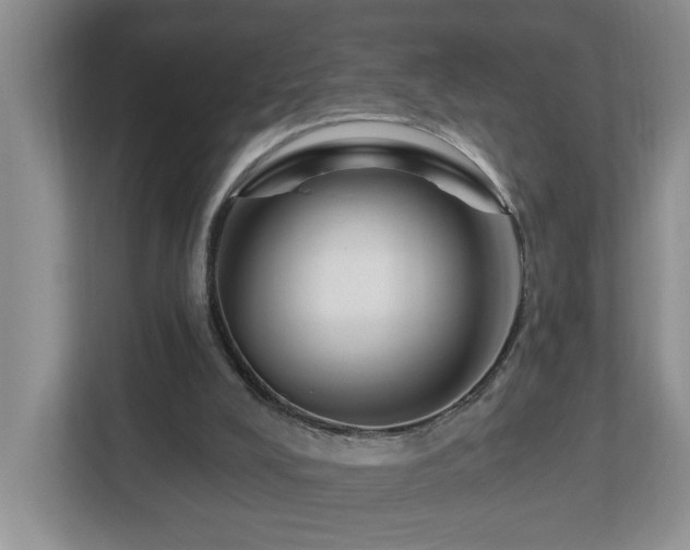 X0000112940008200908241329