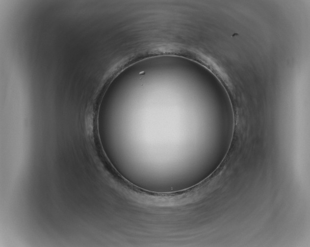 X0000112940010200908241329