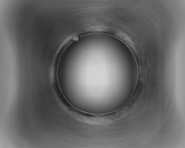 X0000112940012200908241329